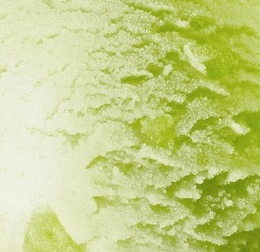 Sorbet pomme avec morceaux de pomme 2.4L - Surgelé