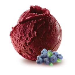 Sorbet - Myrtille 2.5L x1