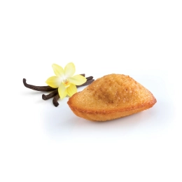 Pause gourmande - Petite madeleine de Commercy vanille craquante 18g x140