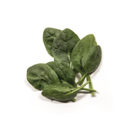 Salade - Epinard barquette 1Kg