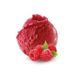 Sorbet framboise BIO (vegan) 2.5L x1