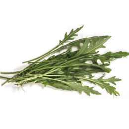 Salade - Roquette barquette 1Kg