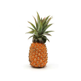 Ananas Victoria Cat1 (au Kg/au détail)