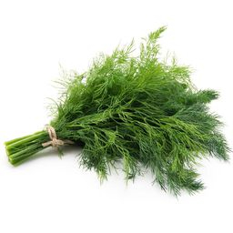Aneth 100g Cat1 (à la botte)