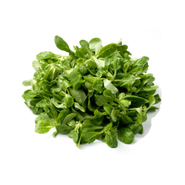 Salade - Mâche (500g x2)