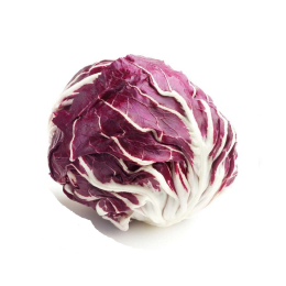 Trévise (radicchio)