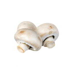 Champignon de Paris blanc moyen pied coupé Cat1 3Kg PL