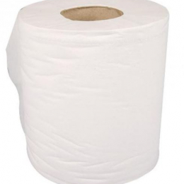 Bobine ouate blanche (2 plis x 450 feuilles) x6