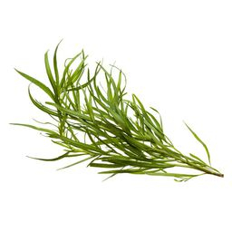 Estragon 40G Cat 1 (A La Botte)