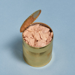 Thon Albacor Nature Morceaux & Entier 4/4