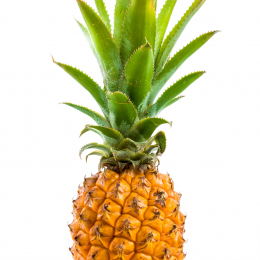 Ananas Victoria (piece)