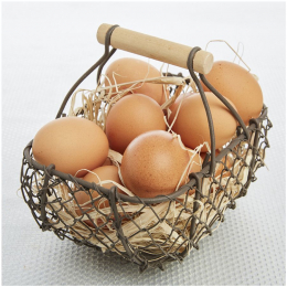 oeuf standard gros 63/73 g x 180 FRANCE