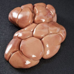 rognon veau avec graisse 0.9/1.2 kg s/v UE