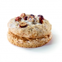 Patisseries - Succes Praline 75 G x12 - Creations Philippe Urraca