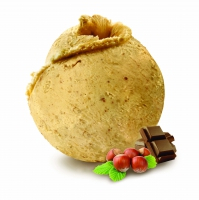 Glace Praline Noisette 2,5L x1